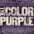 VIDEO: Cynthia Erivo, Isaiah Johnson Discuss The Healing Experience of THE COLOR PURP Video