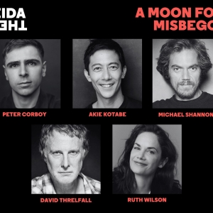 Almeida Theatre Reveals Full Cast For Michael Shannon-Led A MOON FOR THE MISBEGOTTEN Photo