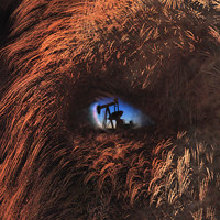 a great big woolly mammoth thawing from the ice